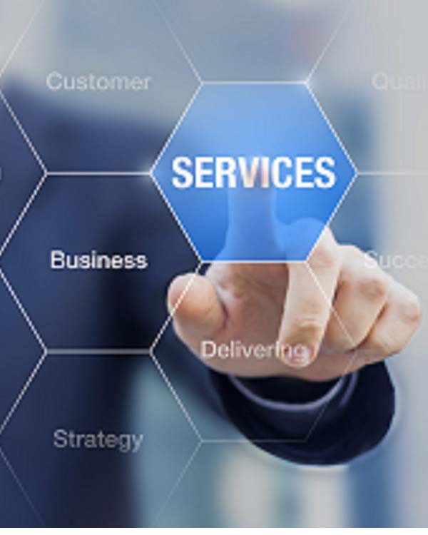 POPULAR IT SERVICES